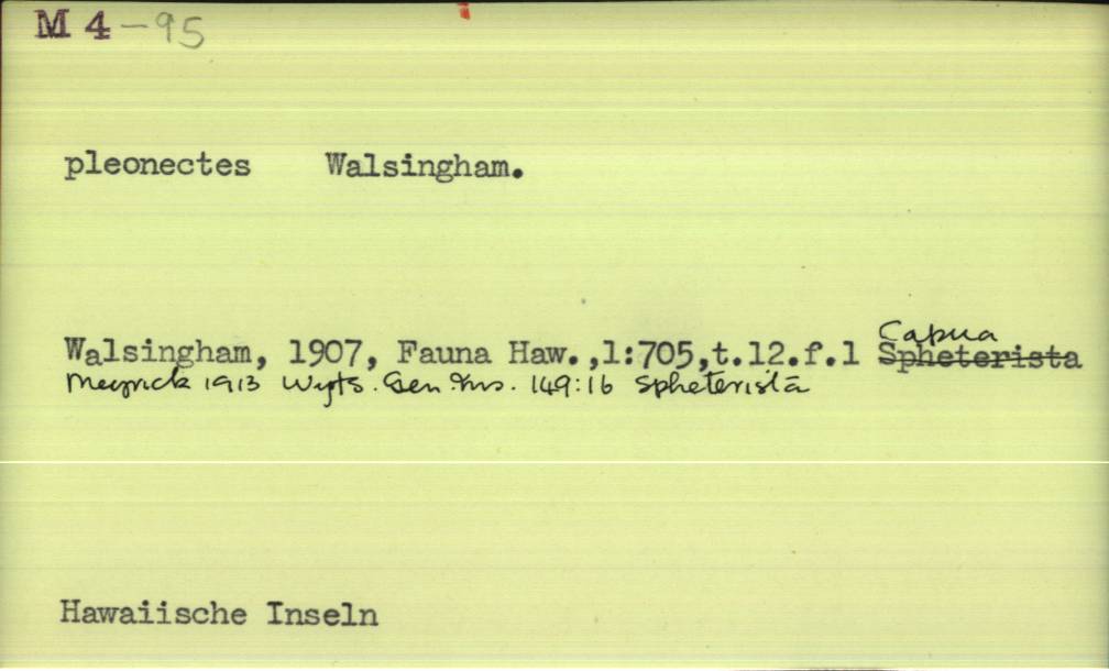front of card